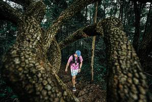 BIB: 
                            <button type="button" onclick="openModal(25703043)" class="btn btn-primary btn-sm float-right btn-popup" data-toggle="modal" data-target=".modal-high-quality">
                        <i class="fas fa-shopping-cart"></i> Add to Cart
                    </button>
                                            <button type="button" onclick="isThisMe(25703043, true)" class="btn btn-success btn-sm float-right btn-popup btn-isme hidden" data-toggle="tooltip" data-placement="bottom" title="นี่คือรูปของคุณใช่ไหม คลิกที่นี่เพื่อเอาเข้าอัลบั้ม">
                        <i class="fas fa-plus"></i> Add to album
                    </button>
                    <button type="button" onclick="isThisMe(25703043, false)" class="btn btn-warning btn-sm float-right btn-popup btn-isnotme hidden">
                        <i class="fas fa-ban"></i> Remove from album
                    </button>